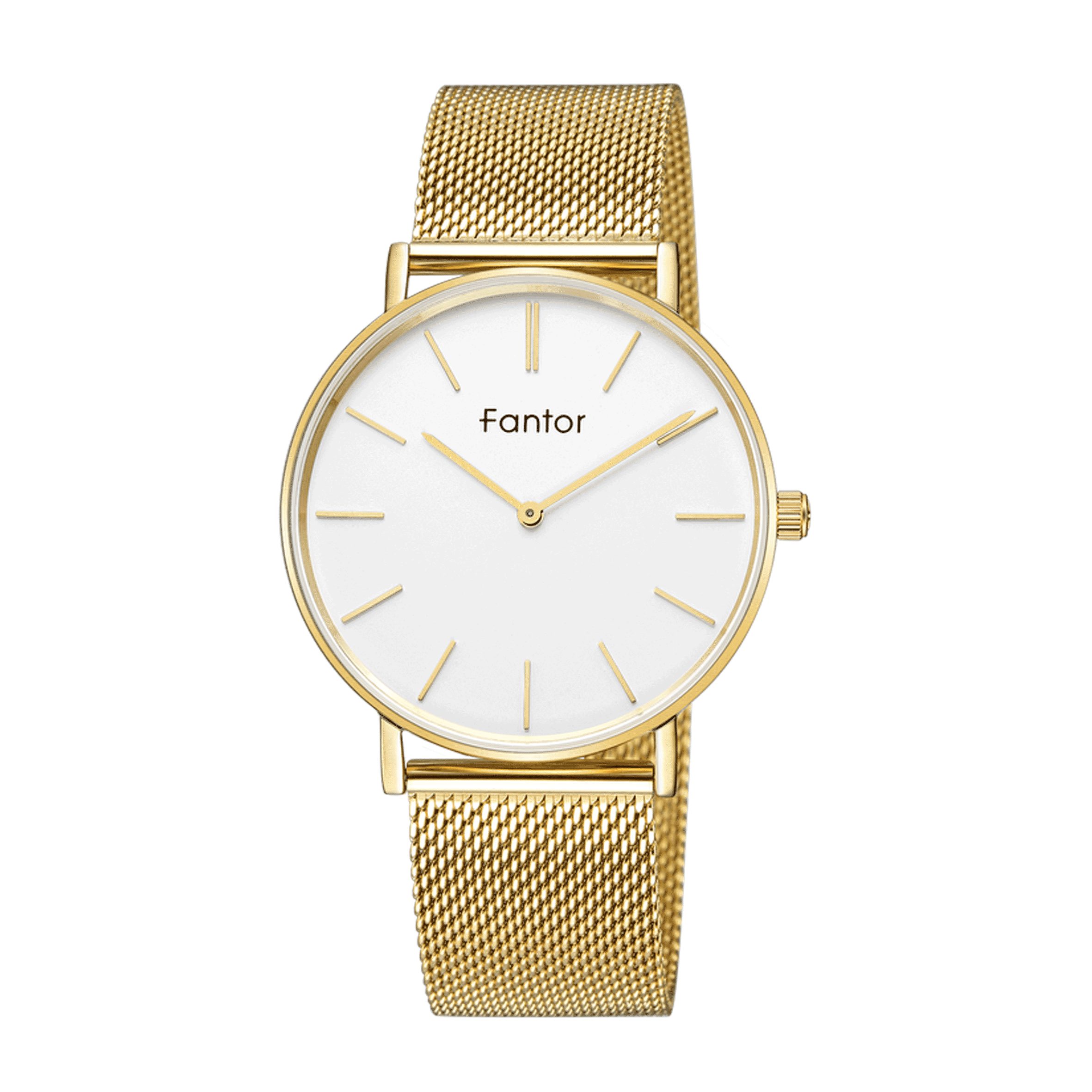 WF-1017-G ساعت مچی مردانه فانتور مدل Fantor WF 1017-G - Image 1